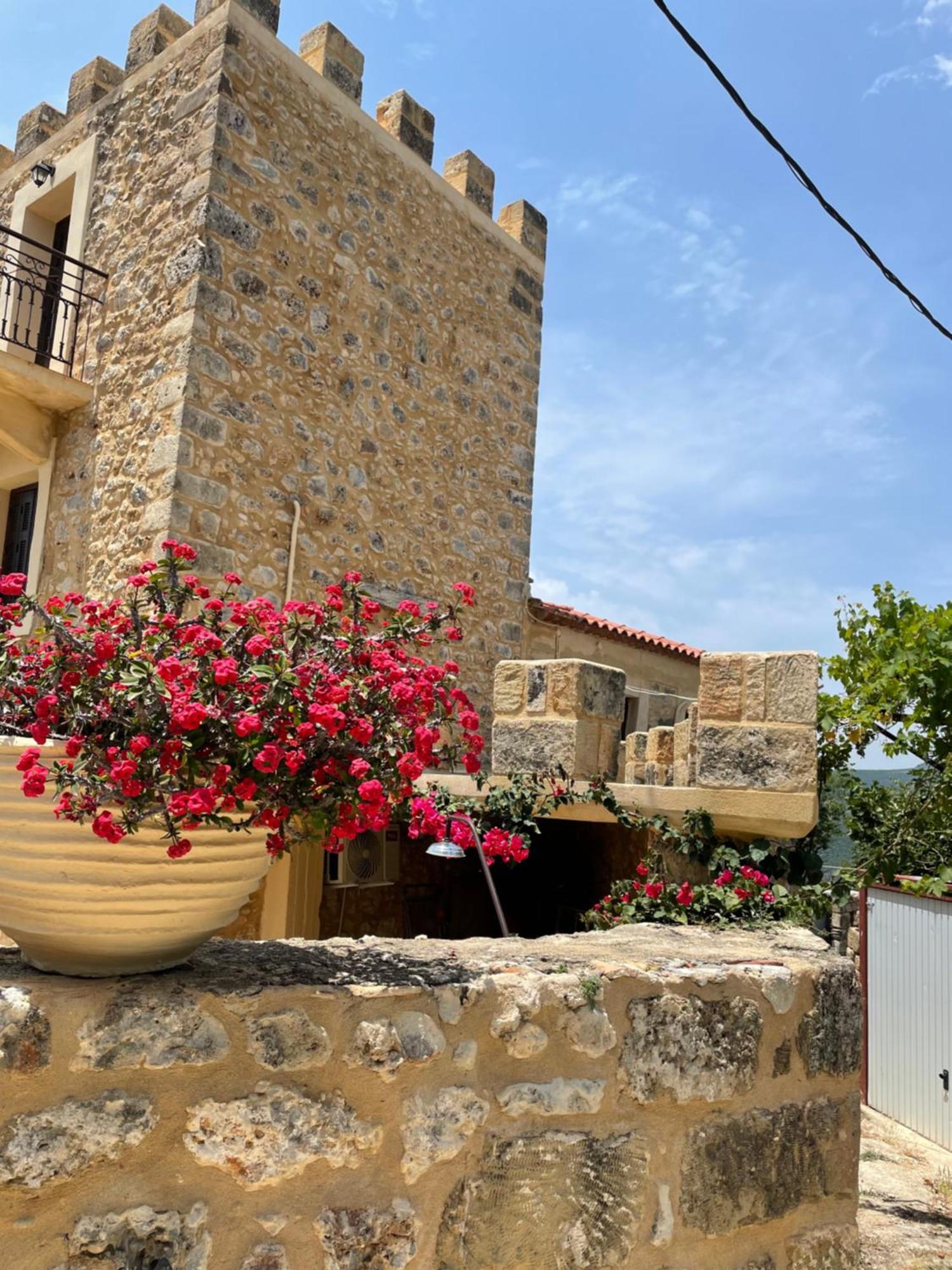 Pyrgos Fassea Kardamyliヴィラ エクステリア 写真